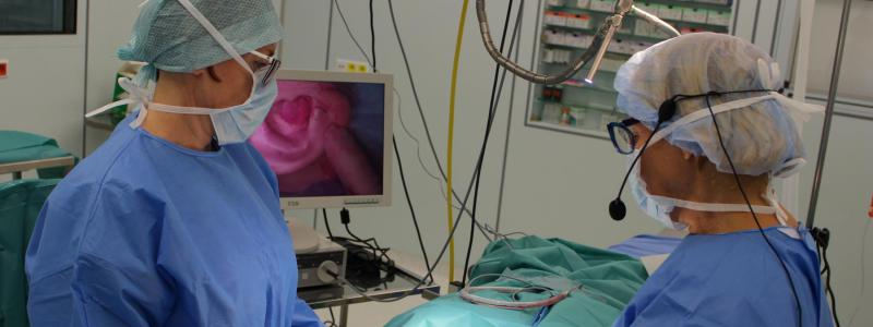 Plastiky boltců je výhodné stihnout do 10 let věku, říkají ORL lékaři. Na semináři si sdíleli zkušenosti.